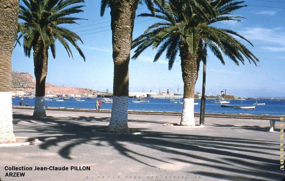 Arzew 182- Pillon.jpg